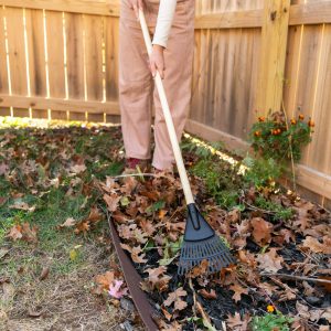 41a9f47f-2d4c-498a-8e56-ebcf353ba7ee.6f61bff604777ed559a1cc56a30196de.jpeg Expert Gardener 8-inch Wood and Poly Shrub Leaf Rake