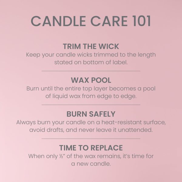 Yankee Candle Large Jar Scented Candle with up to 150 Hour Burn Time, Premium Plant Wax Blend for Consistent Burn, 22 oz Jar Candle with Room Filling Fragrance, Vanilla Cupcake