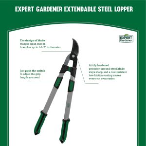 88a3cfcc-5b4c-4c09-99fc-347ab571a426.7d08ad920cbdfd6eee721c2982e24b29.jpeg Expert Gardener Extendable 38in Lopper