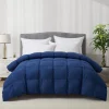 S29d7d1ed86bf47418c74d56e66bf466dN.webp Luxury Blue Goose Down All-Season Duvet