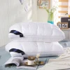 100% Silk Shell Pillow with Supportive Plush Core