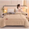 Safd47fd4acfd46d98fe7b2d0bbb0ba91t.webp Luxury Thick Double-Sided Velvet Winter Comforter