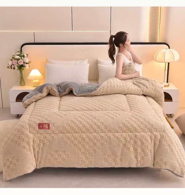 Safd47fd4acfd46d98fe7b2d0bbb0ba91t.webp Luxury Thick Double-Sided Velvet Winter Comforter