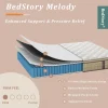 BedStory Melody 12-Inch Hybrid Mattress with Gel Memory Foam and Pocket Springs